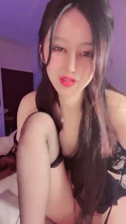 预览图4