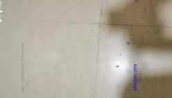 预览图7