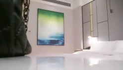 预览图2