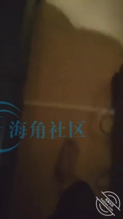 预览图4