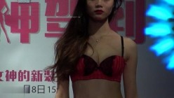 预览图4