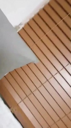 预览图12