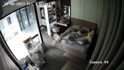 预览图13