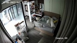 预览图15