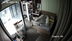 预览图16
