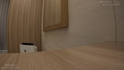 预览图4