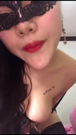 预览图4
