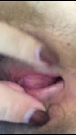 预览图11