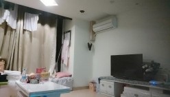 预览图4