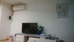 预览图14