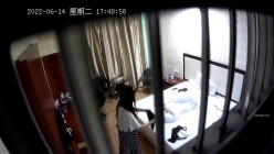 预览图11