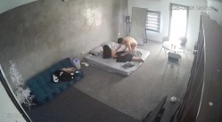 预览图8
