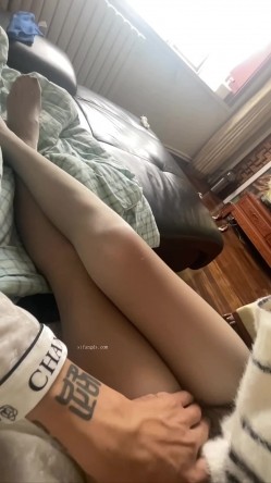 预览图9