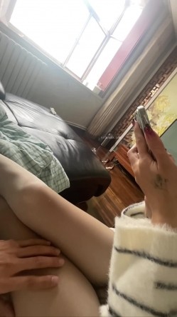 预览图15