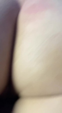 预览图6