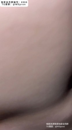 预览图10