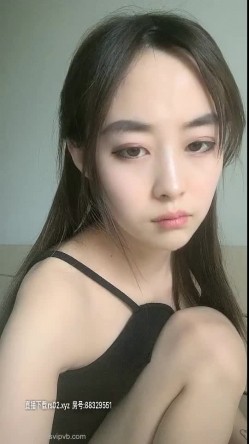 预览图4