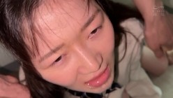 预览图7