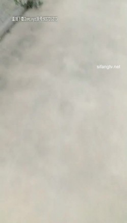 预览图5