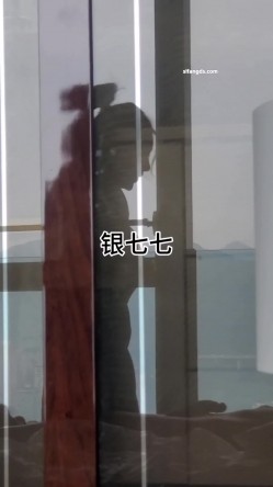 预览图4