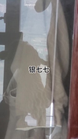 预览图10
