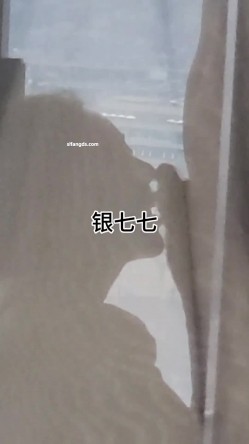 预览图11