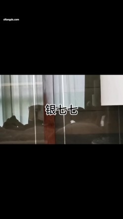 预览图16