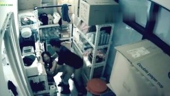 预览图8