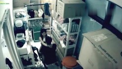 预览图11