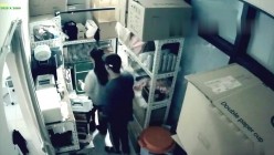 预览图13