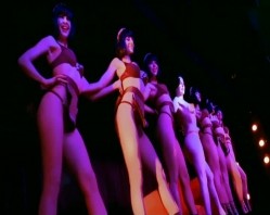 预览图5