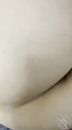预览图5