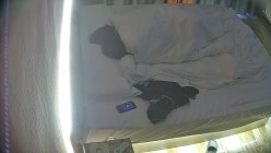 预览图11
