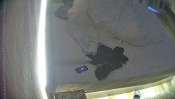 预览图13