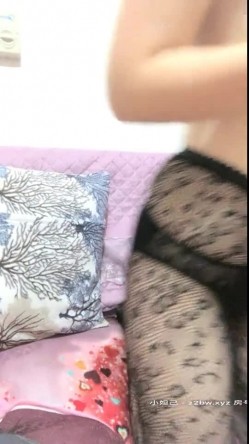 预览图6