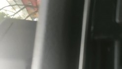 预览图4