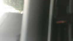 预览图5