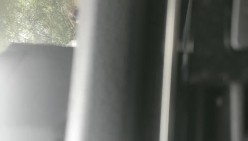 预览图6