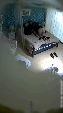 预览图12
