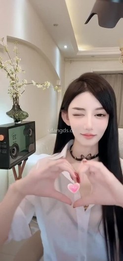 预览图14