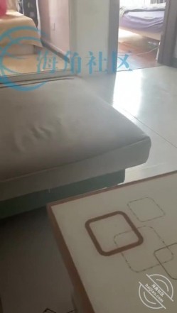 预览图2
