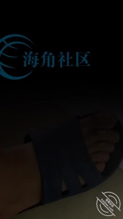 预览图11