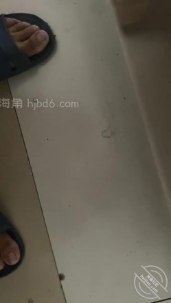 预览图13