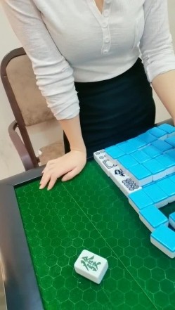 预览图5