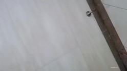 预览图5