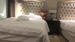 预览图9