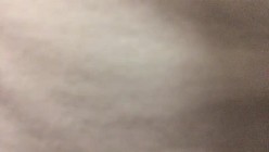 预览图11