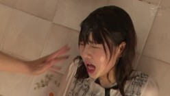 预览图9