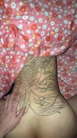 预览图15