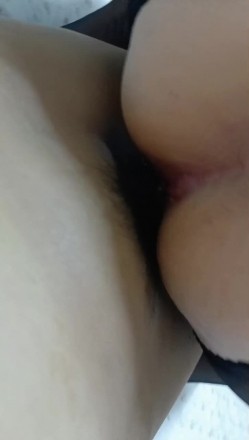 预览图15